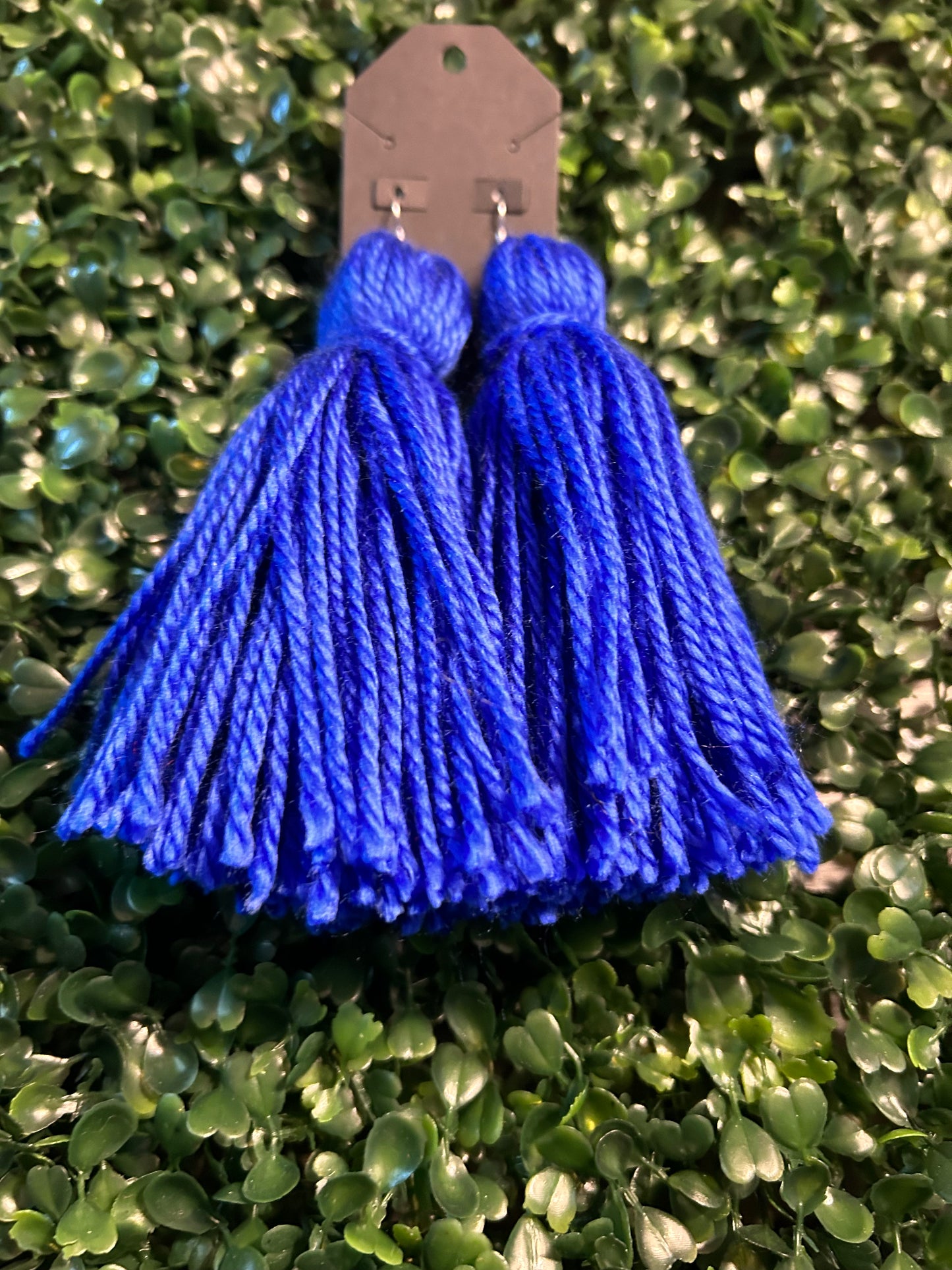 Tassel Earrings
