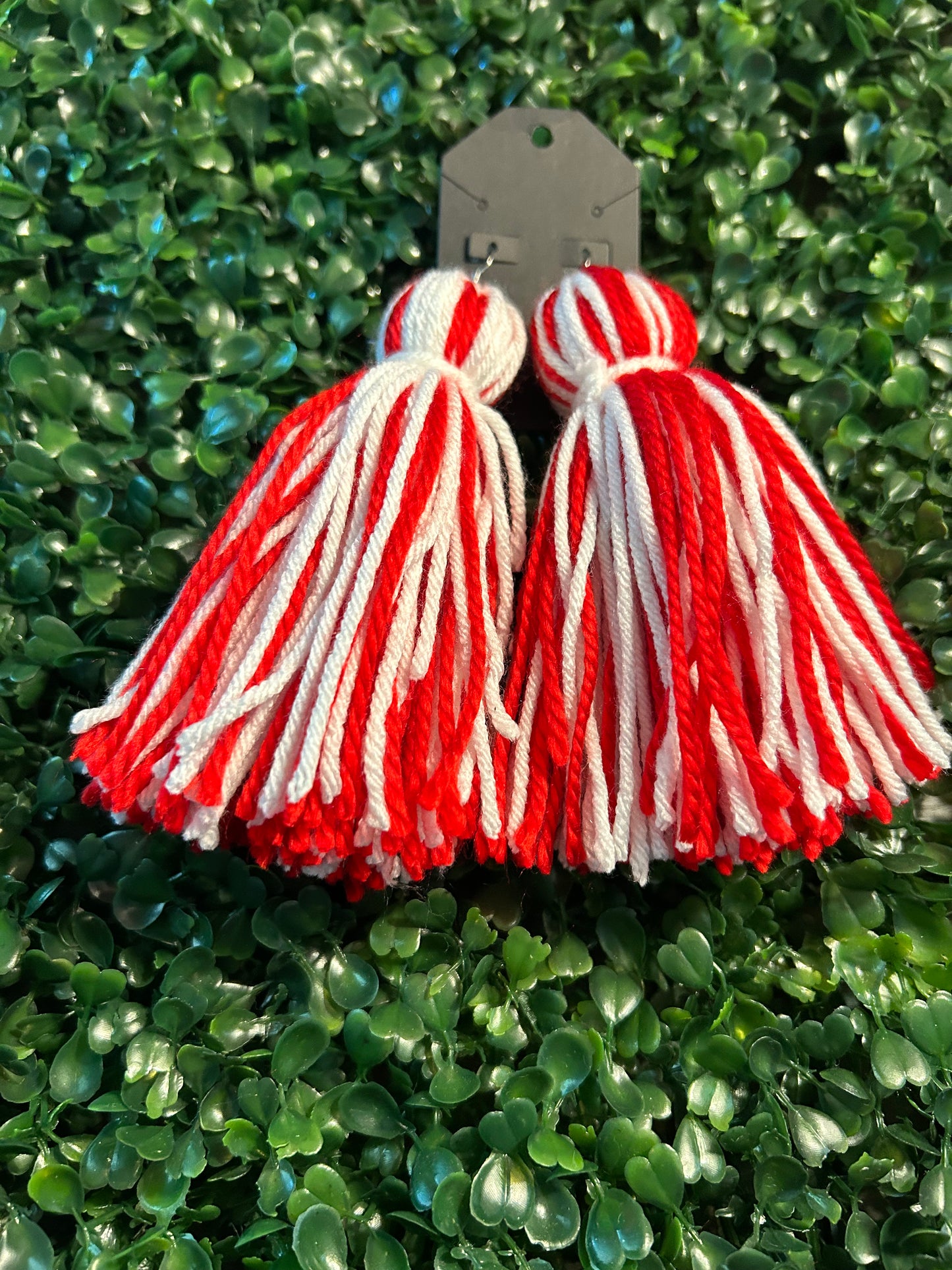 Tassel Earrings
