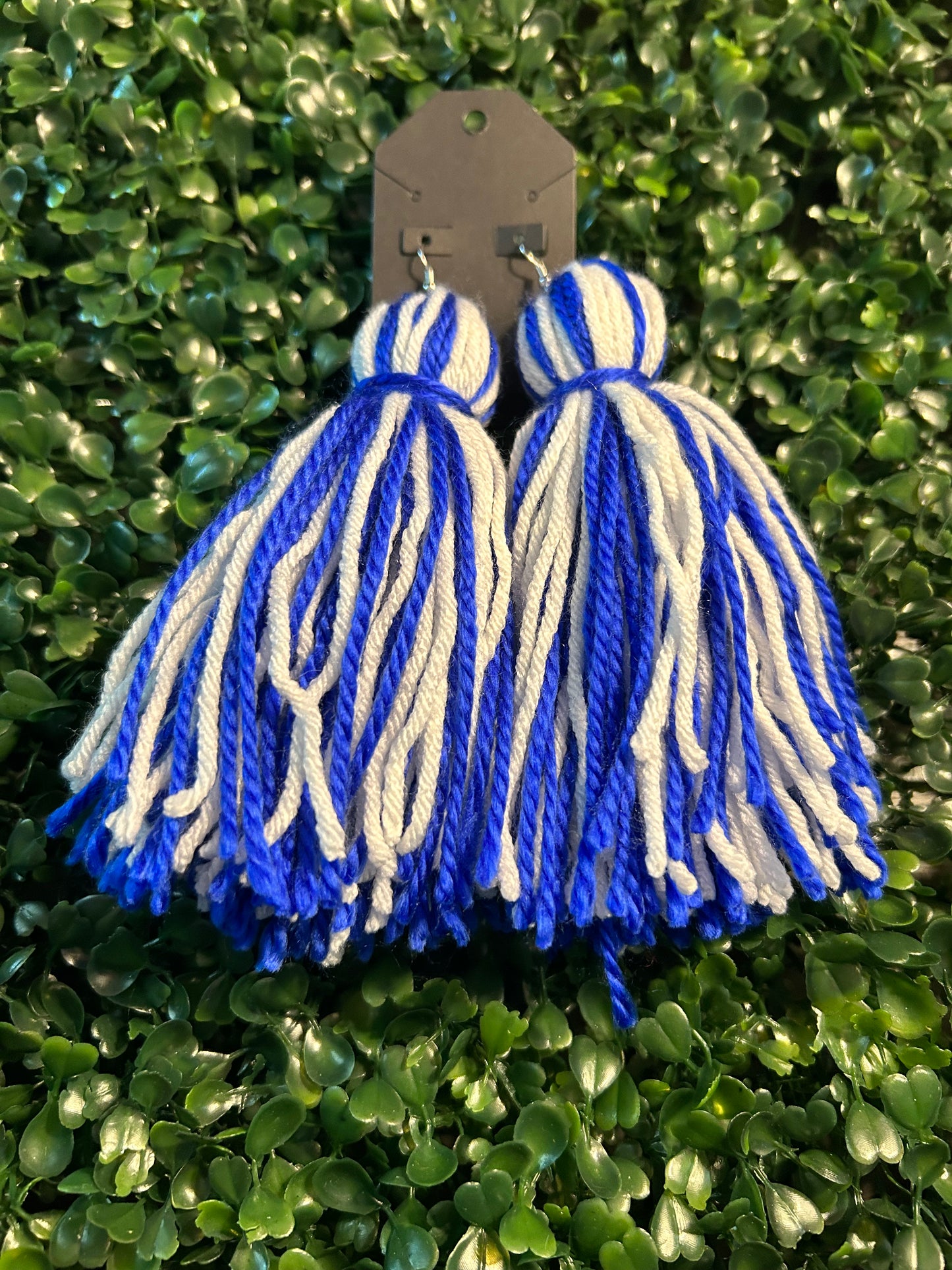 Tassel Earrings