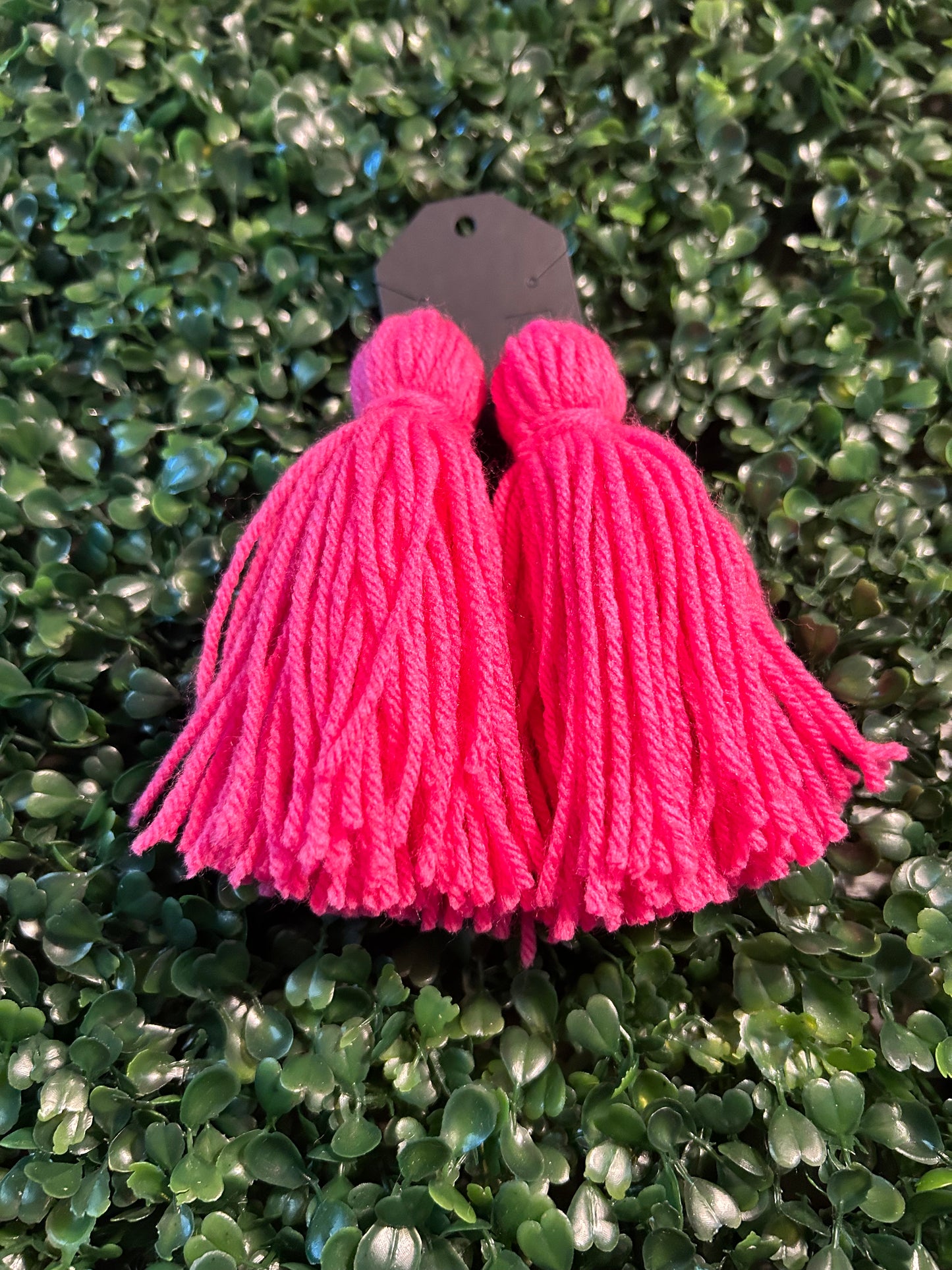 Tassel Earrings
